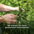 Kräftige Haare, gesunde Kopfhaut