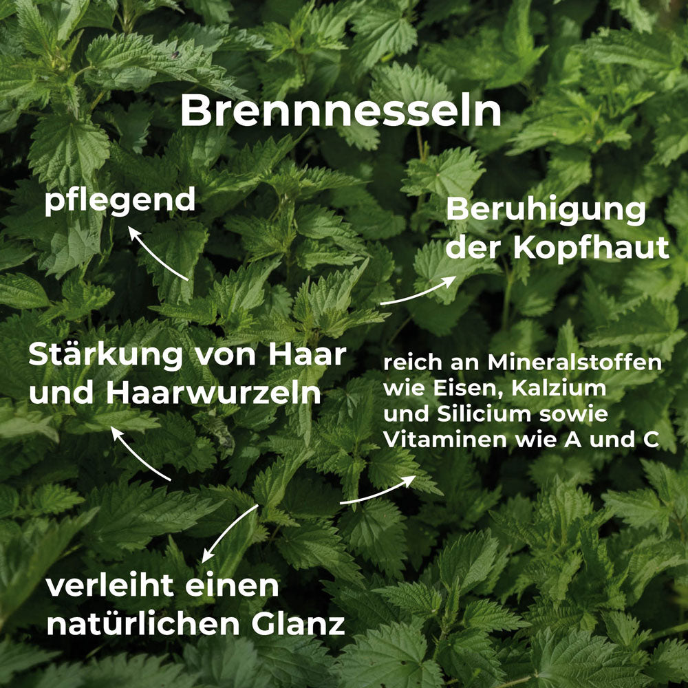 Kräftige Haare, gesunde Kopfhaut